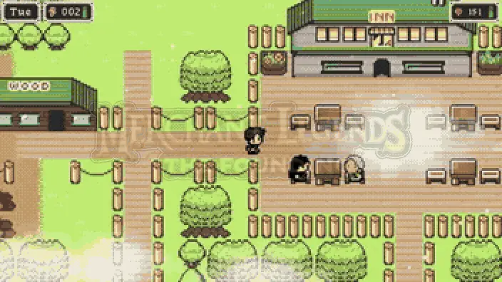 Explore towns and shops